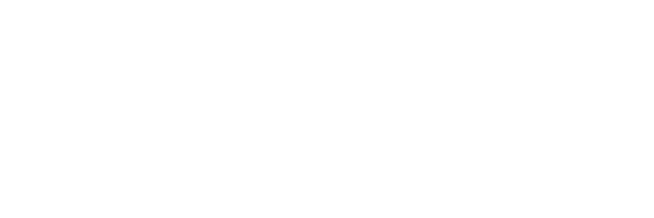 Bean Shot Coffee logo