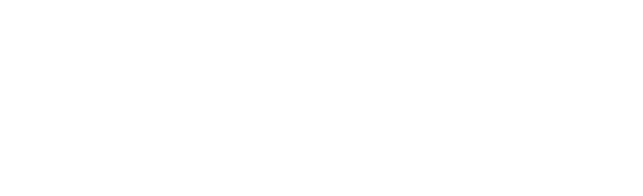 Blind Owl Coffee logo