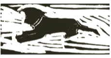 Morning Dog Coffee logo