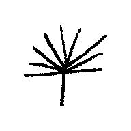 Sustain Coffee logo